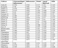 Figure imgf000031_0002