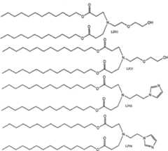 Figure A2006800297880018C1