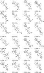 Figure FDA0003481820600000071