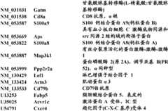 Figure BDA0000057170160000741