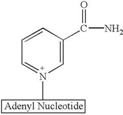 Figure US06495023-20021217-C00004