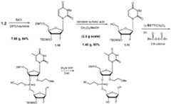 Figure imgf000162_0001