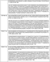 Figure imgf000058_0001