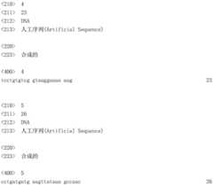 Figure IDA0002789067220000031