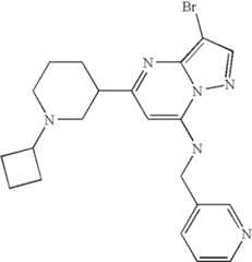 Figure US07119200-20061010-C04535