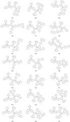 Figure FDA0003827027660000101