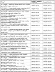 Figure imgf000083_0001