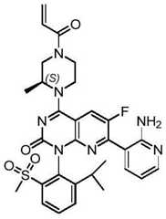 Figure BDA0002861043520000914