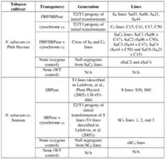 Figure imgf000048_0001
