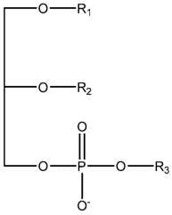Figure imgf000078_0001