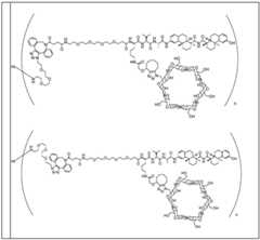 Figure BDA0002889616220001371