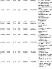 Figure BPA00001280678303391