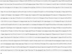 Figure BDA0004128507330000442