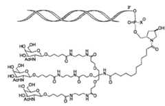 Figure 105140410-A0305-02-0068-21