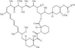 Figure US11364300-20220621-C00191