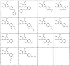 Figure imgf000019_0001