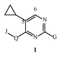 Figure imgf000002_0002