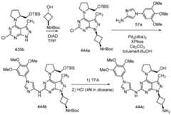 Figure imgf000561_0001