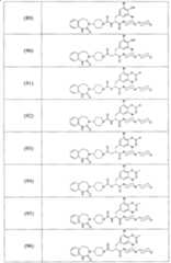 Figure A2006800095860022C1