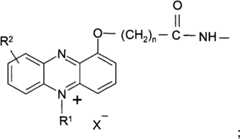 Figure BPA00001263293900312