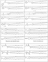 Figure imgf000017_0001
