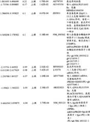 Figure BPA00001280678302361