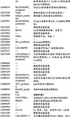 Figure BDA0000057170160000381