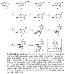 Figure JPOXMLDOC01-appb-C000024