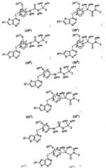 Figure 112007011503269-PCT00091