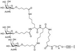 Figure imgf000586_0002