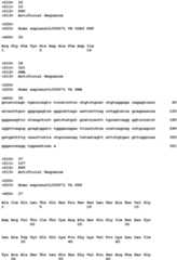 Figure imgb0019