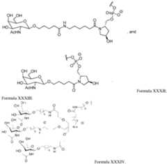 Figure imgf000089_0002