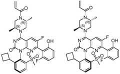 Figure BDA0002861043520001051