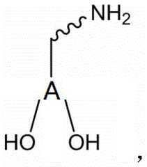 Figure FDA0002248482500000021