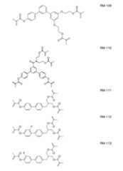 Figure 2024079817000130