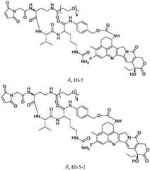 Figure FDA0003674984860000401