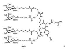 Figure 110121932-A0202-12-0025-125