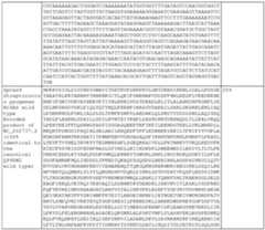 Figure imgf000081_0001