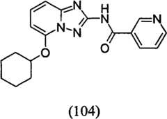 Figure GPA00001035513101082