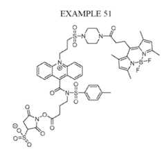 Figure imgf000096_0002
