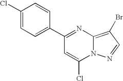 Figure US07119200-20061010-C00588
