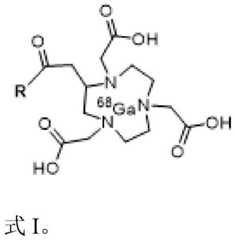 Figure FDA0003040758890000011