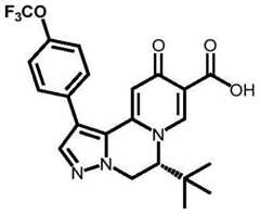 Figure BDA0003141290410002031