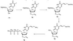 Figure imgf000065_0002