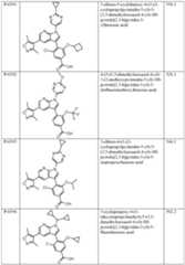 Figure imgf000201_0001