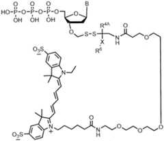 Figure imgf000250_0001