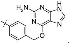 Figure BDA0001120556480000122