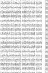 Figure IDA0002536600790000921