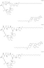 Figure US11364300-20220621-C00199