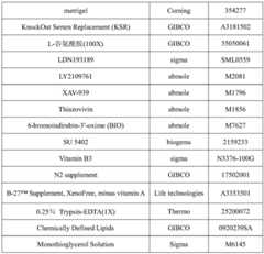 Figure BDA0003197505590000151